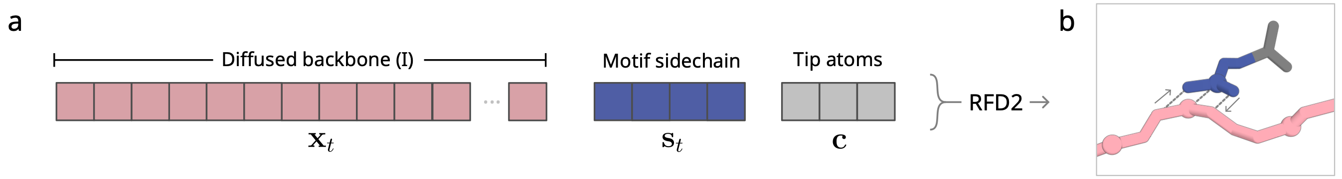 Diagram from Butcher et al. 2025, BioRXiv